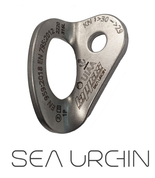 Sea Urchin D 10 mm