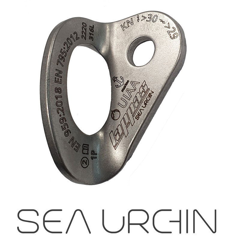 Sea Urchin D 10 mm