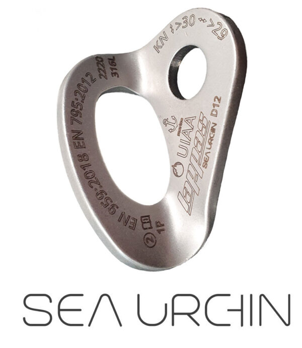 Sea Urchin D 12 mm